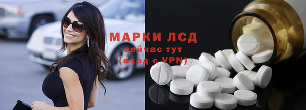 крисы Аркадак