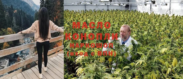 крисы Аркадак